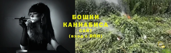mdpv Бородино