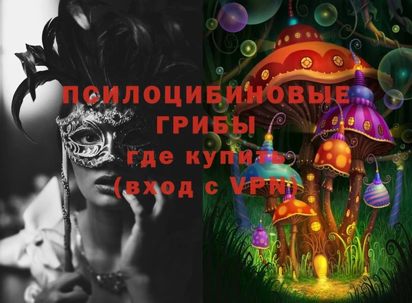 mdpv Бородино