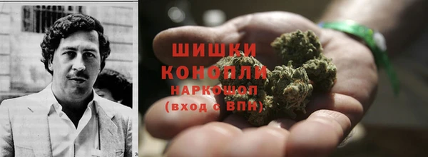 mdpv Бородино