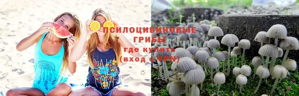 a pvp Бугульма