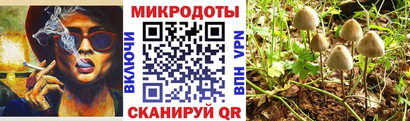 Псилоцибиновые грибы Psilocybe  наркотики  Дегтярск 